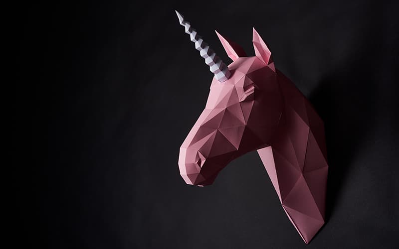 O Proximo Unicornio Pode Ser O Seu Tenha Em Maos O Guia Para Obter Sucesso Em Sua Startup Notícias E Artigos Contábeis - Conexão Contábil