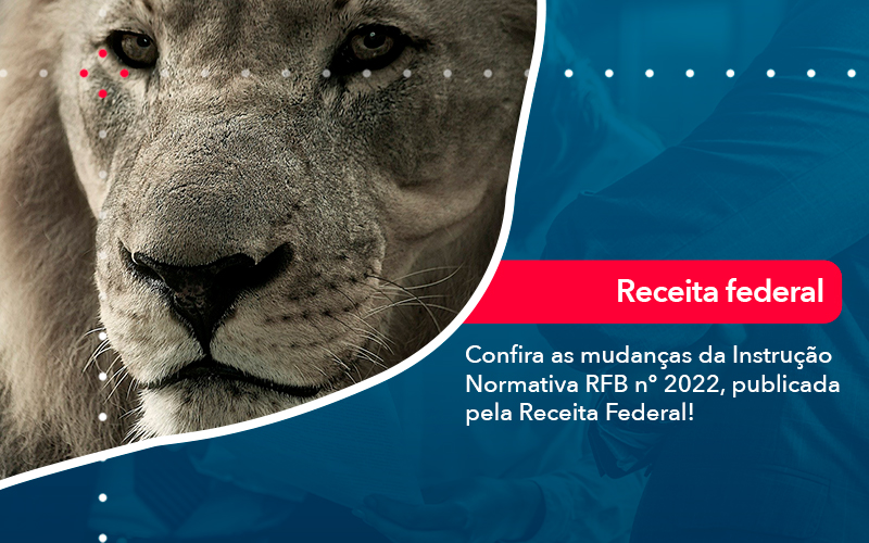 Confira As Mudancas Da Instrucao Normativa Rfb N 2022 Publicada Pela Receita Federal - Conexão Contábil