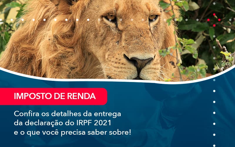 Confira Os Detalhes Da Entrega Da Declaracao Do Irpf 2021 E O Que Voce Precisa Saber Sobre 1 - Conexão Contábil