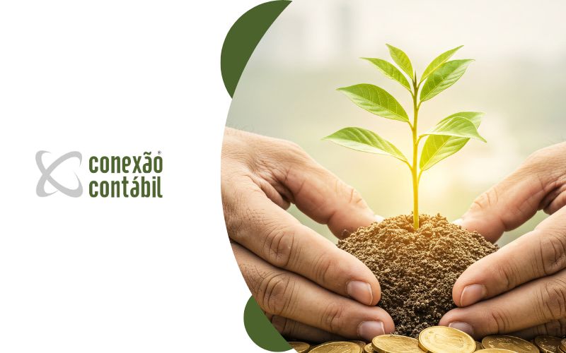 Imposto Sobre Dividendos: Como fugir da taxação de 10%