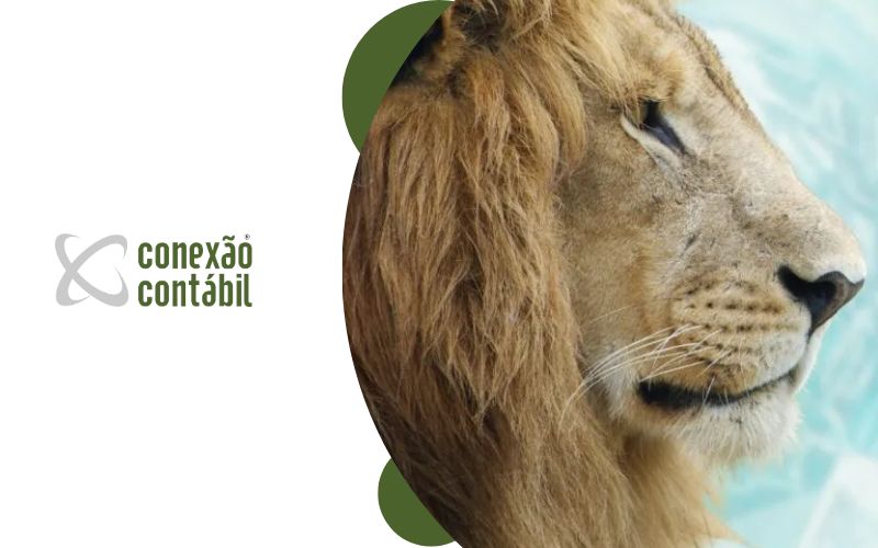 imposto de renda 20264 pontos de atenção