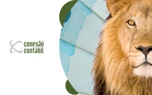 Recomendado só para você