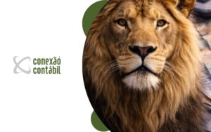 Recomendado só para você