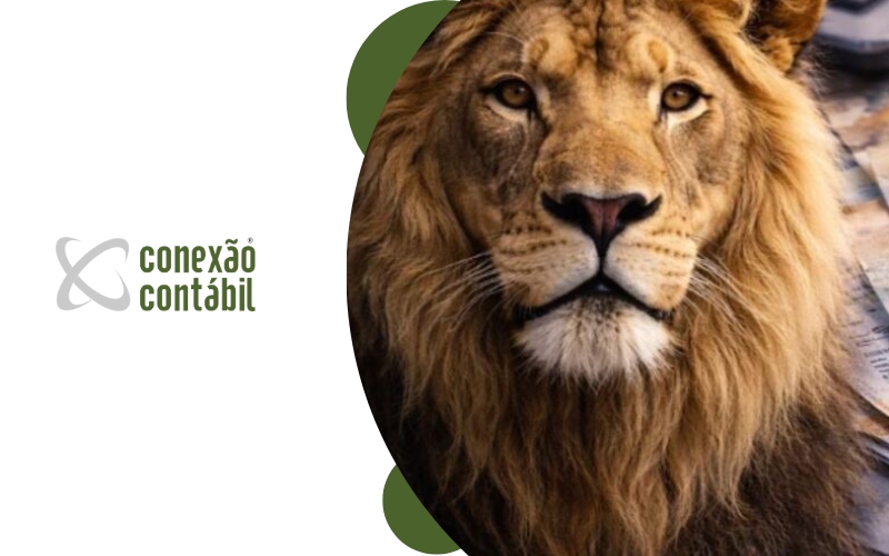 como saber se meu CPF precisa declarar imposto de renda