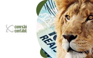 Recomendado só para você