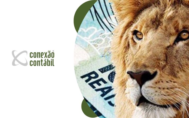 contratar contador para imposto de renda