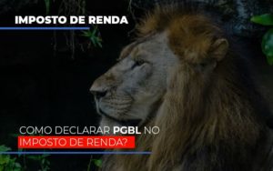 Ir2020:como Declarar Pgbl No Imposto De Renda Notícias E Artigos Contábeis Notícias E Artigos Contábeis - Conexão Contábil