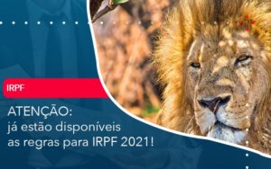 Ja Estao Disponiveis As Regras Para Irpf 2021 - Conexão Contábil