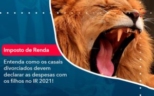 Entenda Como Os Casais Divorciados Devem Declarar As Despesas Com Os Filhos No Ir 2021 1 - Conexão Contábil