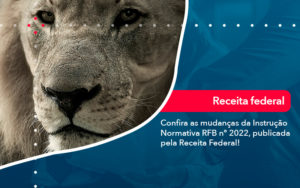 Confira As Mudancas Da Instrucao Normativa Rfb N 2022 Publicada Pela Receita Federal - Conexão Contábil