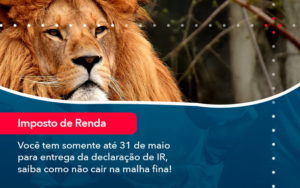 Voce Tem Somente Ate 31 De Maio Para Entrega Da Declaracao De Ir Saiba Como Nao Cair Na Malha Fina 1 - Conexão Contábil