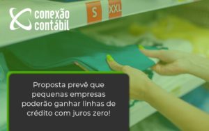 Proposta Prevê Que Pequenas Empresas Poderão Ganhar Linhas De Crédito Com Juros Zero! Conexao Contabil - Conexão Contábil