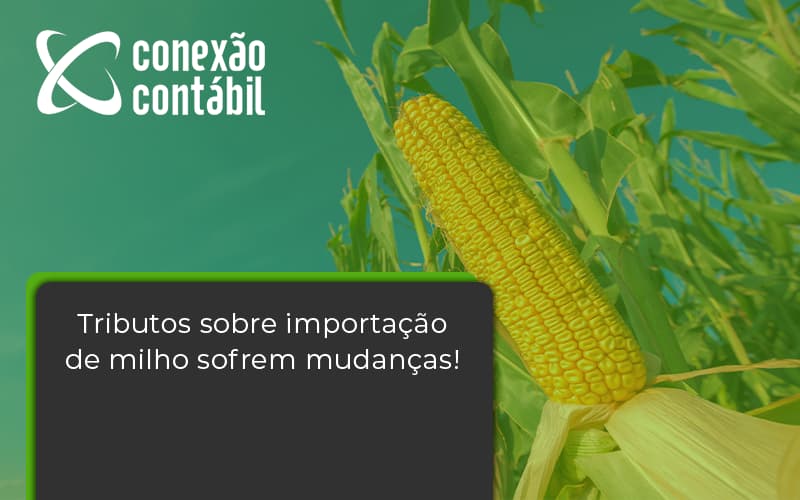 Tributos Sobre Importação De Milho Sofrem Mudanças! Conexao Contabil - Conexão Contábil
