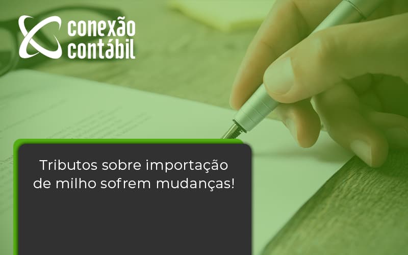 Veja Como Encerrar Corretamente Uma Empresa Inativa. Conexao Contabil - Conexão Contábil