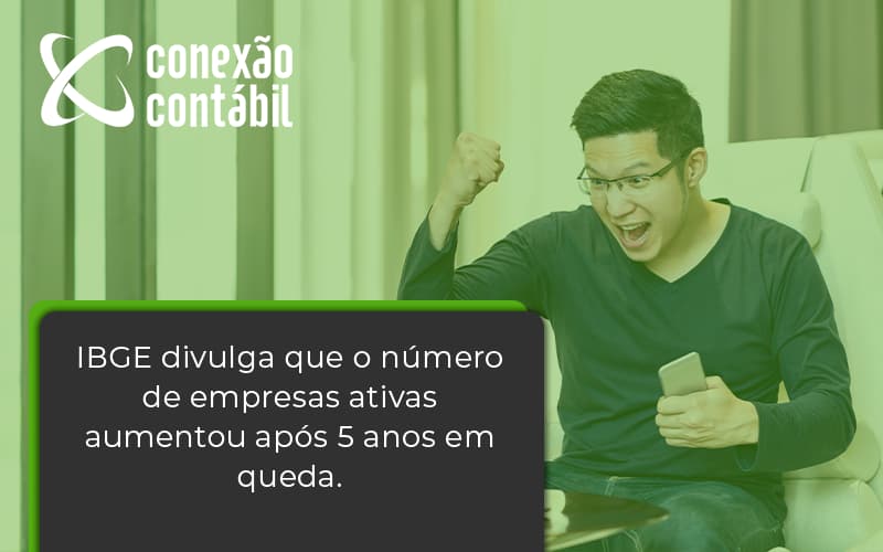 Ibge Divulga Que Numero De Empresa Ativas Aumentou Conexao Contabil - Conexão Contábil