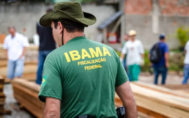 Multas Ambientais: A Nova Preocupação