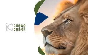 Recomendado só para você