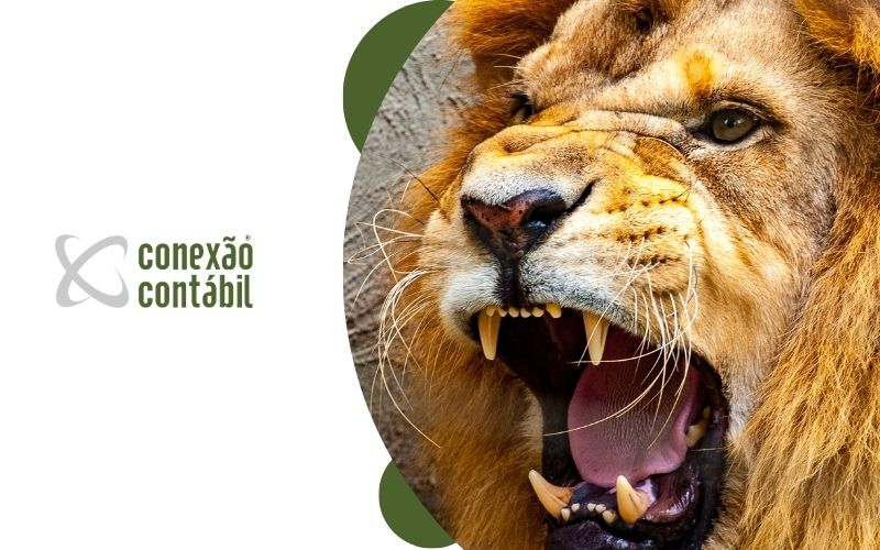 Capa E Imagem Blog ConexÃo - Conexão Contábil