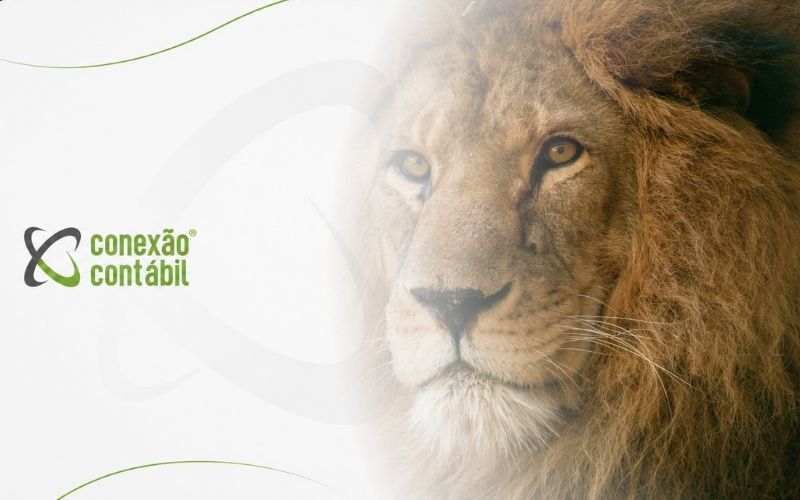 Qual o Valor para Declarar Imposto de Renda em 2026